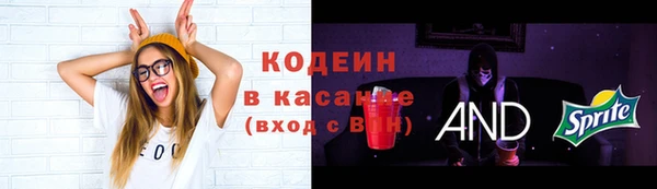 гашик Михайловск