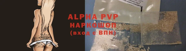 гашик Михайловск