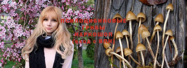 a pvp Михайловка