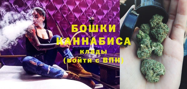 сатива Навашино