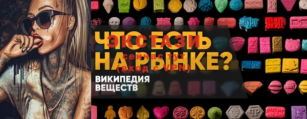 дживик Надым