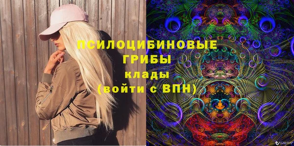 дживик Надым