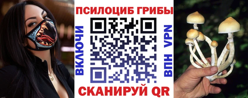 закладки Новопавловск Галлюциногенные грибы Magic Shrooms